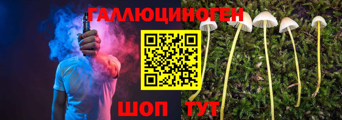 Псилоцибиновые грибы Cubensis Нефтеюганск