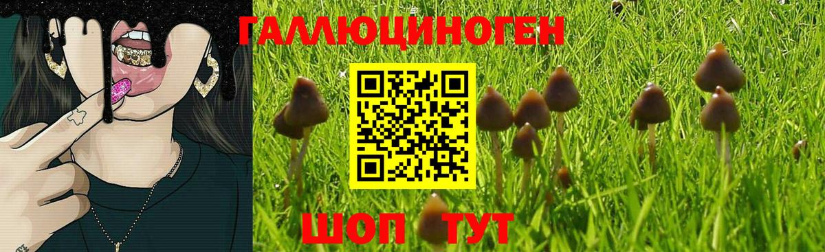 купить наркоту  Галлюциногенные грибы мухоморы  Вход с VPN  Галлюциногенные грибы Psilocybe  Нефтеюганск 